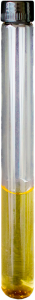 PL-6908