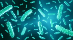 bacterias-e-coli-800x445-1