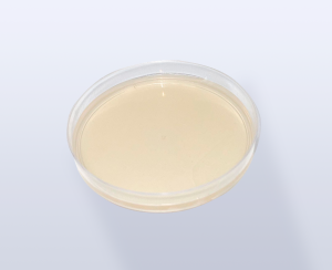 PL-1210_site