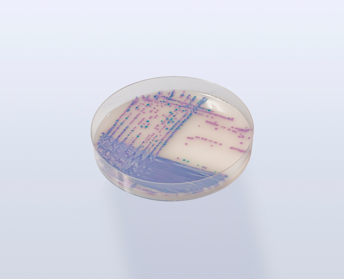 uuid90F4248C-9479-4BB1-AE72-4BE23526899Alibrary1type1mode1loctruecaptrue